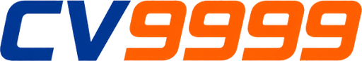 bdcv9999.net Logo